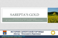 Золото Сарепты – история сарептской горчицы