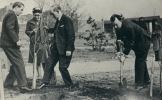 1967 - посадка деревьев английской делегацией города Ковентри на Мамаевом кургане в знак дружбы.jpg